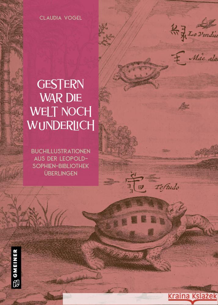 Gestern war die Welt noch wunderlich Vogel, Claudia 9783839201237 Gmeiner-Verlag - książka