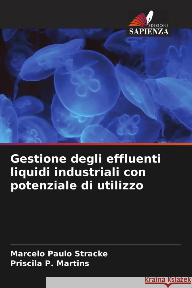 Gestione degli effluenti liquidi industriali con potenziale di utilizzo Marcelo Paulo Stracke Priscila P 9786208095192 Edizioni Sapienza - książka