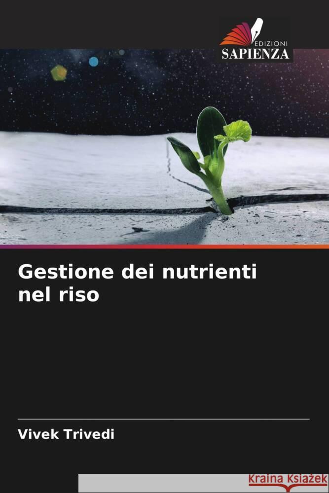 Gestione dei nutrienti nel riso Trivedi, Vivek 9786206092780 Edizioni Sapienza - książka