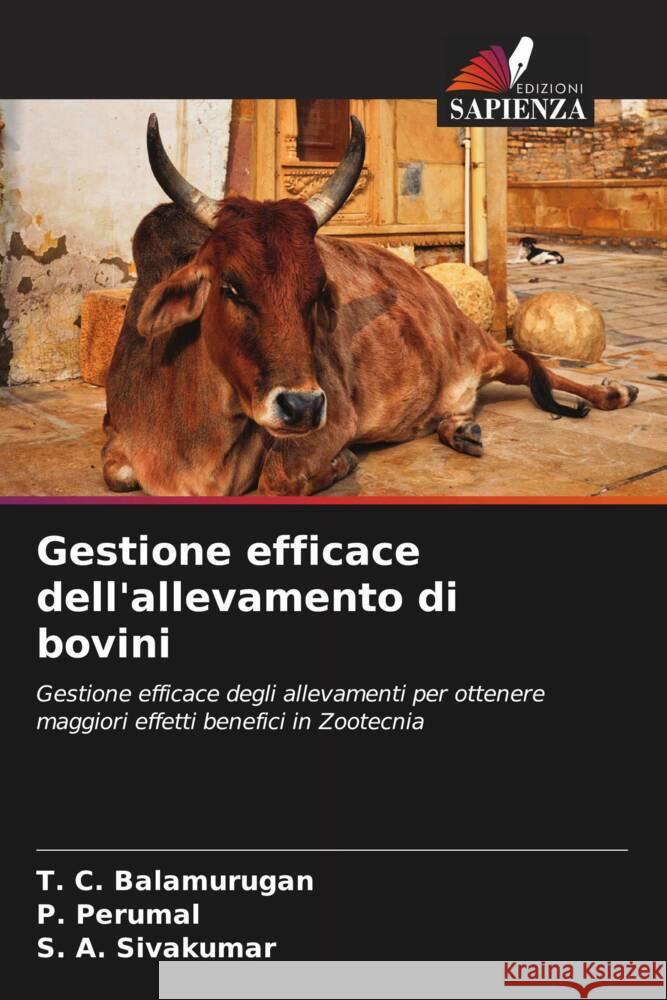 Gestione efficace dell'allevamento di bovini Balamurugan, T. C., Perumal, P., Sivakumar, S. A. 9786208585433 Edizioni Sapienza - książka