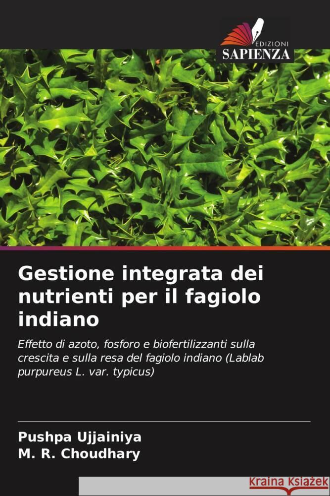 Gestione integrata dei nutrienti per il fagiolo indiano Ujjainiya, Pushpa, Choudhary, M. R. 9786206445159 Edizioni Sapienza - książka