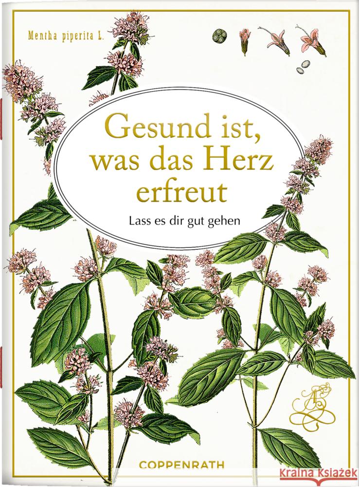 Gesund ist, was das Herz erfreut  9783649648925 Coppenrath, Münster - książka