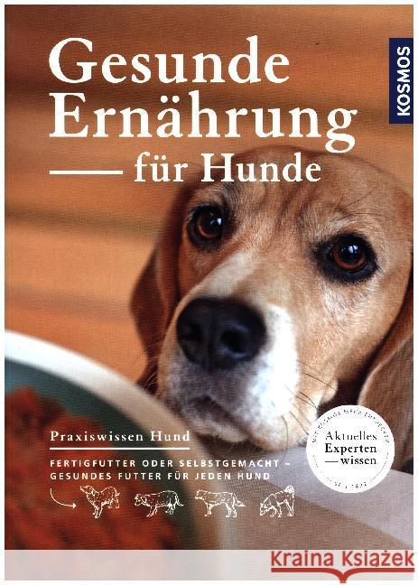Gesunde Ernährung für Hunde : Fertigfutter oder selbstgemacht - gesundes Futter für jeden Hund Bucksch, Martin 9783440153918 Kosmos (Franckh-Kosmos) - książka