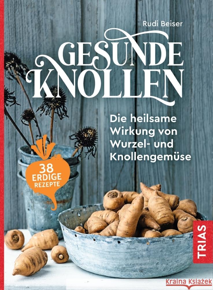 Gesunde Knollen Beiser, Rudi 9783432111322 Trias - książka