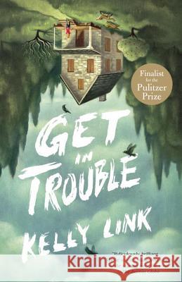 Get in Trouble: Stories Kelly Link 9780812986495 Random House Trade - książka