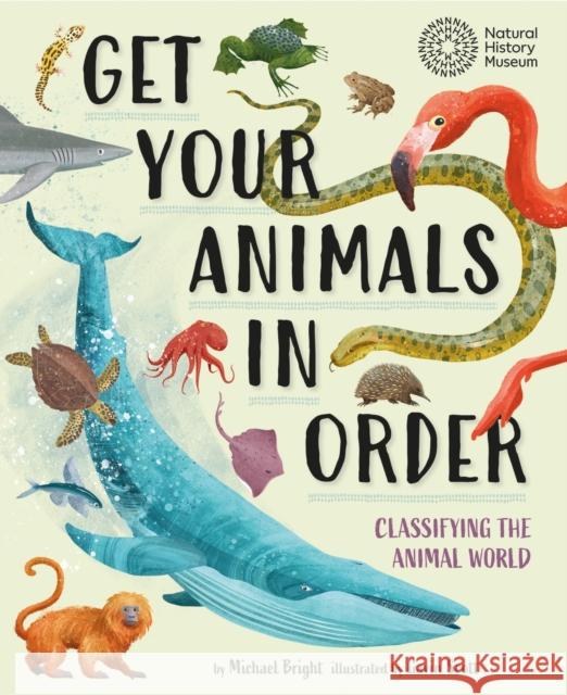 Get Your Animals in Order: Classifying the Animal World Michael Bright 9781526322340 Hachette Children's Group - książka