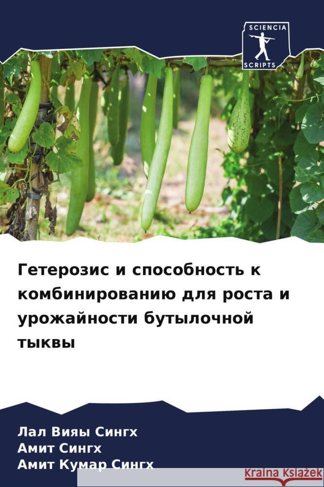 Geterozis i sposobnost' k kombinirowaniü dlq rosta i urozhajnosti butylochnoj tykwy Singh, Lal Viqy, Singh, Amit, Singh, Amit Kumar 9786205168882 Sciencia Scripts - książka