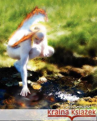 Gethsemane (Commercial Book): An Epic Poem About Us Jacobs, R. Douglas 9781466424111 Createspace - książka