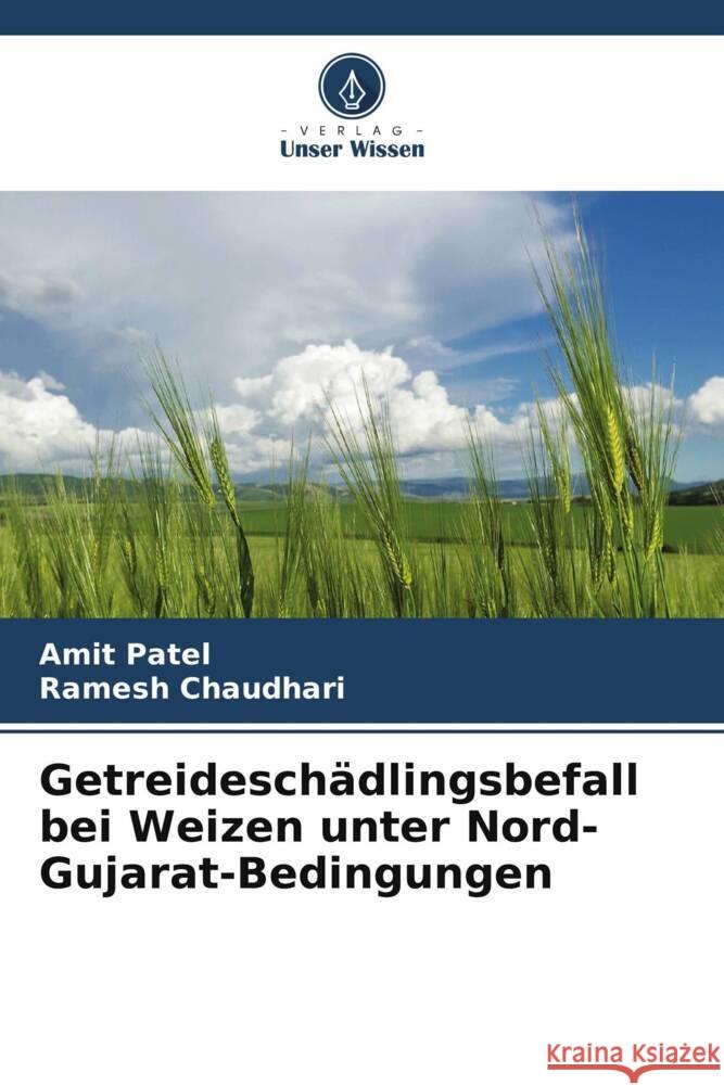 Getreidesch?dlingsbefall bei Weizen unter Nord-Gujarat-Bedingungen Amit Patel Ramesh Chaudhari 9786207193981 Verlag Unser Wissen - książka