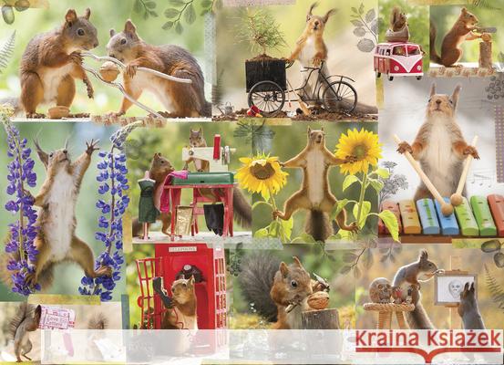 Gettin' Squirrelly 1000-Piece Puzzle Geert Weggen 9781682348598 Willow Creek Press - książka
