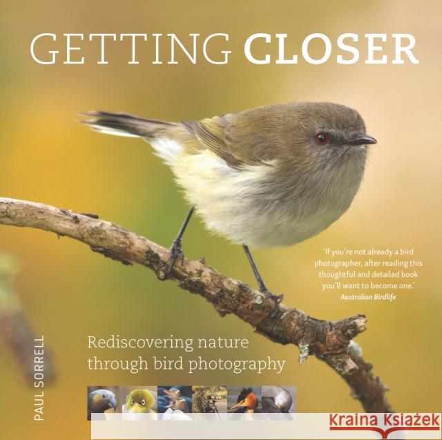 Getting Closer: Rediscovering Nature Through Bird Photography Paul Sorrell 9781923011168 Exisle Pub - książka
