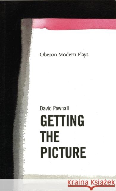 Getting the Picture David Pownall Getting the Picture 9781840020076 Oberon Books - książka