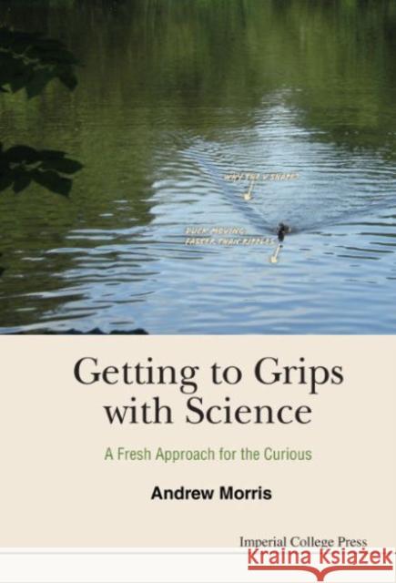 Getting to Grips with Science: A Fresh Approach for the Curious Andrew Morris 9781783265923 Imperial College Press - książka