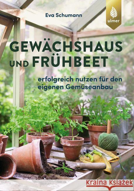 Gewächshaus und Frühbeet : Erfolgreich nutzen für den eigenen Gemüseanbau Schumann, Eva 9783818609474 Verlag Eugen Ulmer - książka