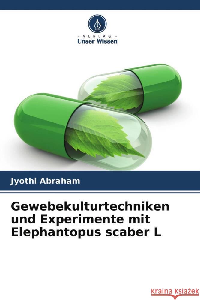 Gewebekulturtechniken und Experimente mit Elephantopus scaber L Abraham, Jyothi 9786204392257 Verlag Unser Wissen - książka