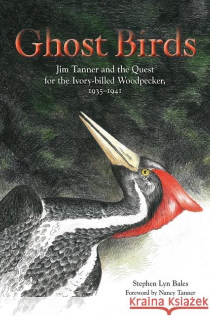 Ghost Birds: Jim Tanner and the Quest for the Ivory-Billed Woodpecker, 1935-1941 Bales, Stephen Lyn 9781572337176 University of Tennessee Press - książka