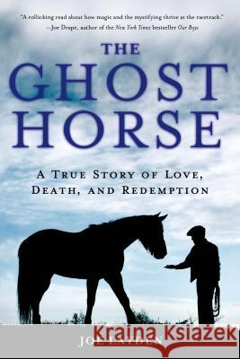Ghost Horse Joe Layden 9781250048646 St. Martin's Griffin - książka