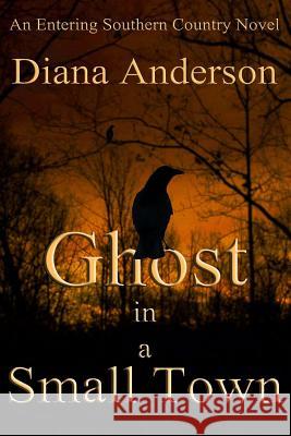 Ghost in a Small Town Diana Anderson 9781507883075 Createspace - książka