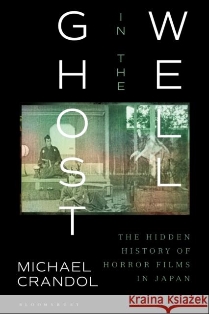 Ghost in the Well: The Hidden History of Horror Films in Japan Crandol, Michael 9781350178748 Bloomsbury Academic - książka