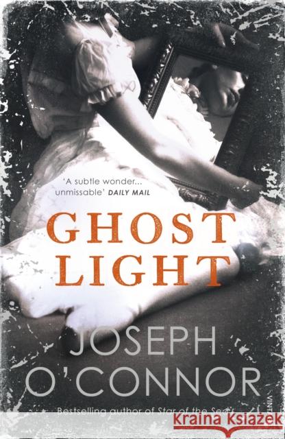 Ghost Light Joseph O'Connor 9781529112627 Vintage Publishing - książka