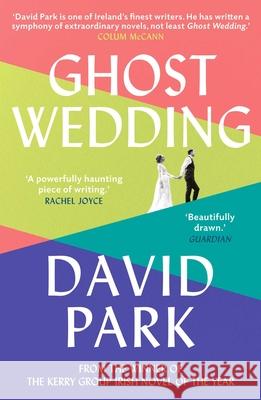 Ghost Wedding David Park 9780861549733 Oneworld Publications - książka