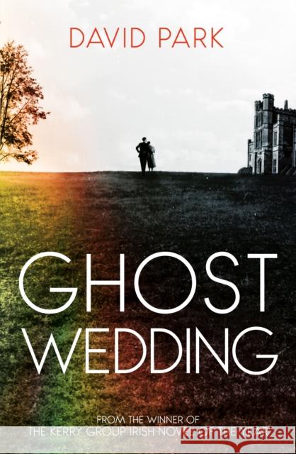 Ghost Wedding David Park 9780861549740 Oneworld Publications - książka