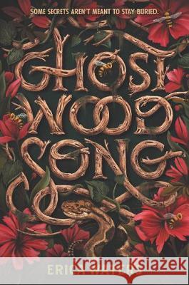 Ghost Wood Song Erica Waters 9780062894229 Harperteen - książka