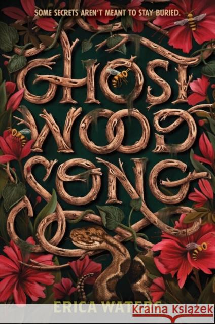 Ghost Wood Song Erica Waters 9780062894236 Harperteen - książka