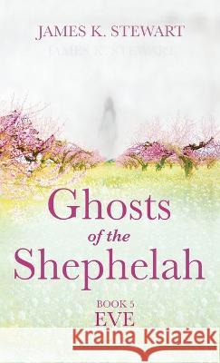 Ghosts of the Shephelah, Book 5 James K. Stewart 9781666798661 Resource Publications (CA) - książka