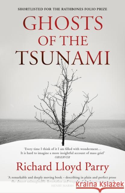 Ghosts of the Tsunami: Death and Life in Japan Parry, Richard Lloyd 9781784704889 Vintage Publishing - książka