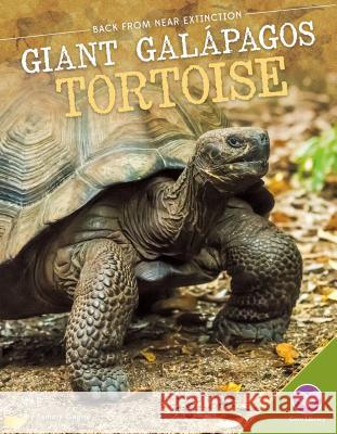 Giant Galàpagos Tortoise Gagne, Tammy 9781680784664 Core Library - książka