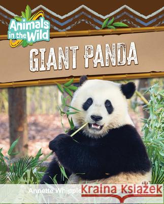 Giant Panda Annette Whipple 9781039874800 Crabtree Forest - książka