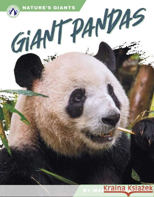 Giant Pandas Marissa Kirkman 9781637389751 Apex / Wea Int'l - książka