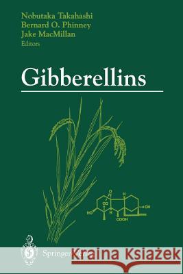 Gibberellins Nobutaka Takahashi Bernard O. Phinney Jake MacMillan 9781461277545 Springer - książka