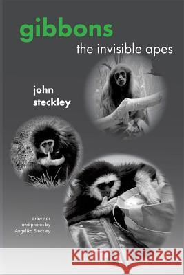 Gibbons: The Invisible Apes John Steckley 9781772440072 Rock's Mills Press - książka