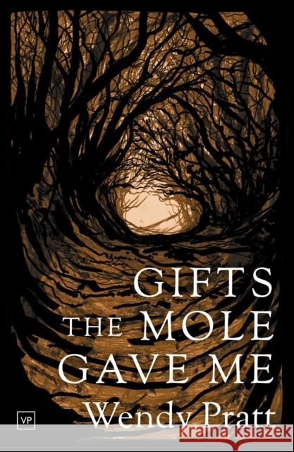 Gifts the Mole Gave Me Wendy Pratt 9781908853882 Valley Press - książka