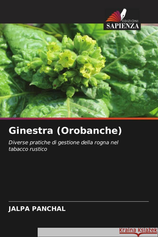 Ginestra (Orobanche) Jalpa Panchal 9786206611806 Edizioni Sapienza - książka