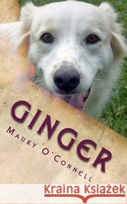 Ginger: Little Dog, Big Trouble Maurice C. O'Connell 9781495498640 Createspace - książka