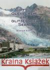 Gipfel, Gletscher und glitzernde Seen: Ein fiktiver Schweiz-Reiseführer Stocker, Reinhard 9783347276130 Tredition Gmbh