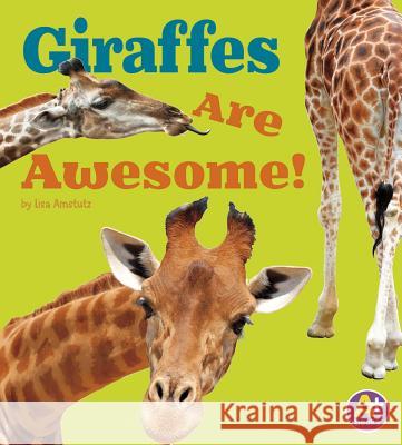 Giraffes Are Awesome! Lisa J. Amstutz 9781491417676 Capstone - książka