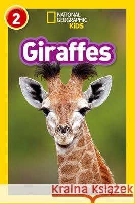 Giraffes: Level 2 National Geographic Kids 9780008266639 HarperCollins Publishers - książka