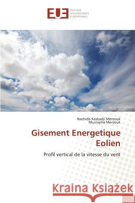 Gisement Energetique Eolien Collectif 9783841665829 Editions Universitaires Europeennes - książka