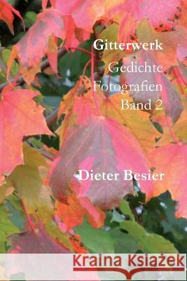 Gitterwerk: Gedichte und Fotografien, Band 2 Besier, Dieter 9781482381047 Createspace Independent Publishing Platform - książka