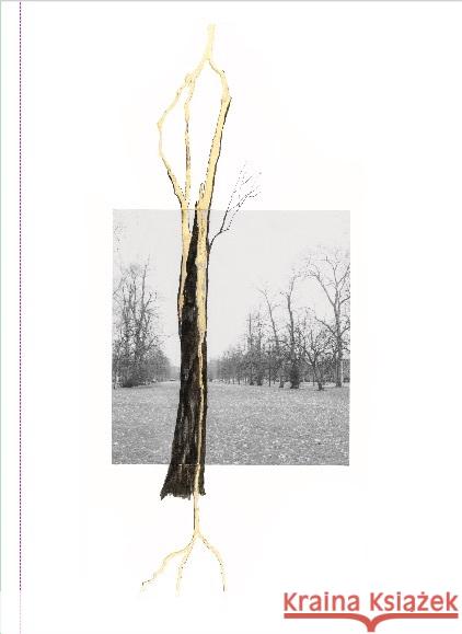 Giuseppe Penone. Thoughts in the Roots  9783753308821 Verlag der Buchhandlung König - książka