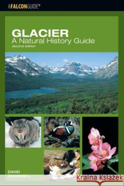 Glacier: A Natural History Guide, Second Edition Rockwell, David 9780762735693 Falcon - książka