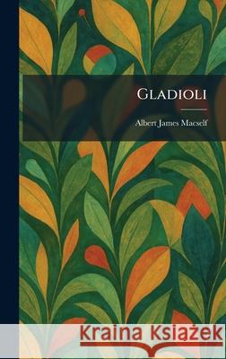 Gladioli Albert James Macself 9781025678450 Tradd Street Press - książka