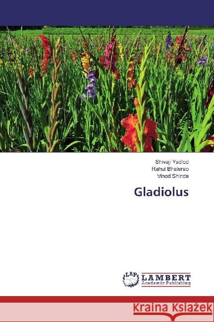 Gladiolus Yadlod, Shivaji; Bhalerao, Rahul; Shinde, Vinod 9783330082243 LAP Lambert Academic Publishing - książka