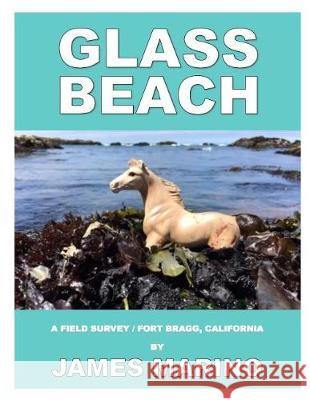 Glass Beach: A Field Survey / Fort Bragg, California James Marino 9781973839385 Createspace Independent Publishing Platform - książka