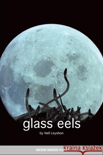 Glass Eels Nell Leyshon 9781840027532  - książka