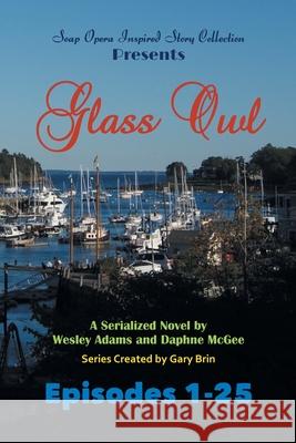 Glass Owl: Part 1 Wesley Adams Daphne McGee Gary Brin 9781945510007 Standish Press - książka